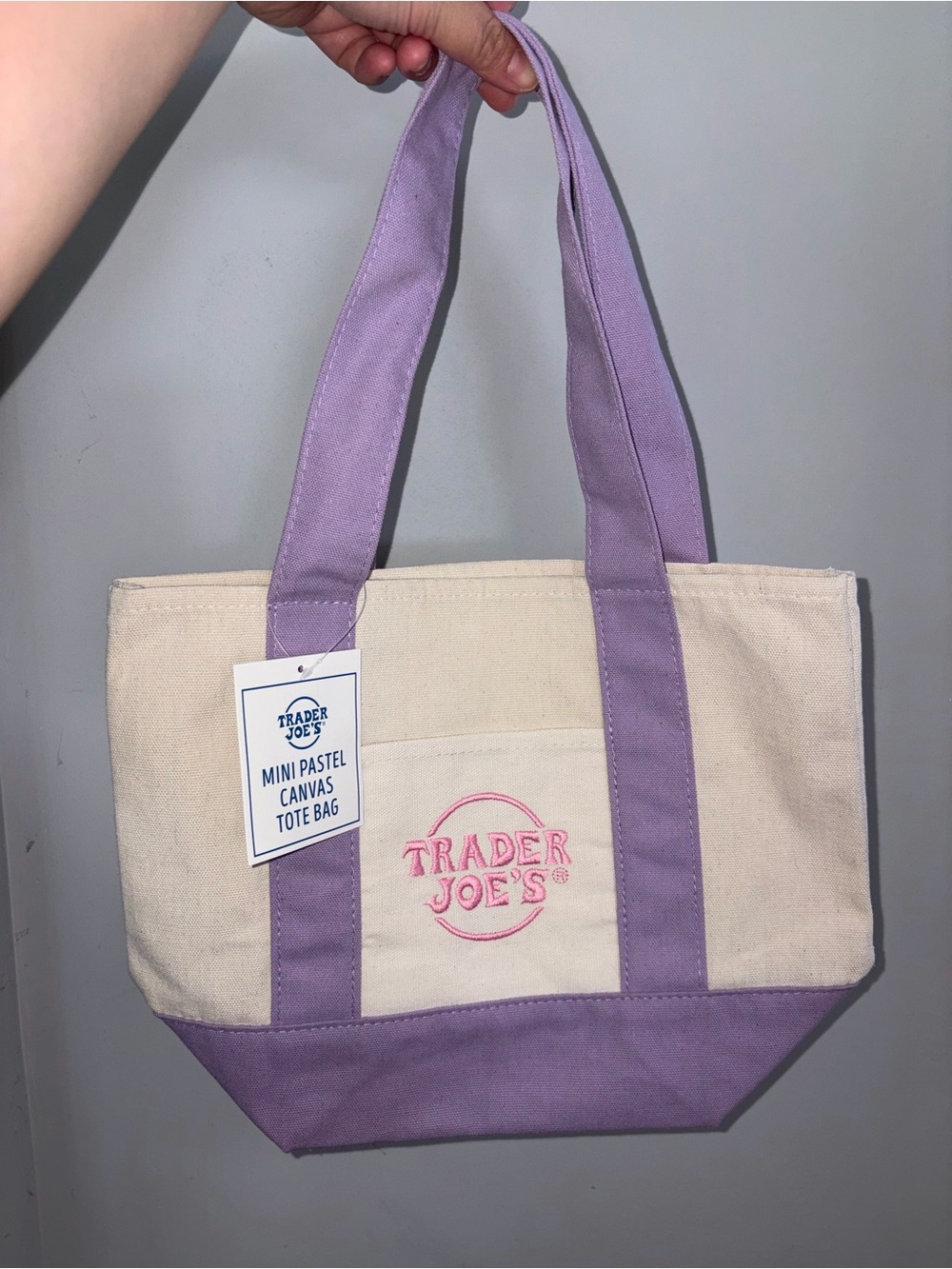 Lavender Pastel Trader Joe’s Canvas Mini Tote Bag